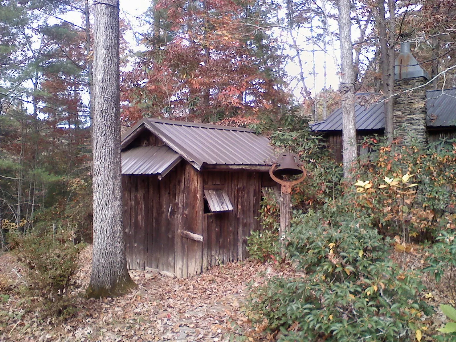 Small metal roof on a rough sawn shed in the woods in Oakham